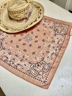 American Eagle Outfitters Dusty Rose Paisley Bandana Scarf